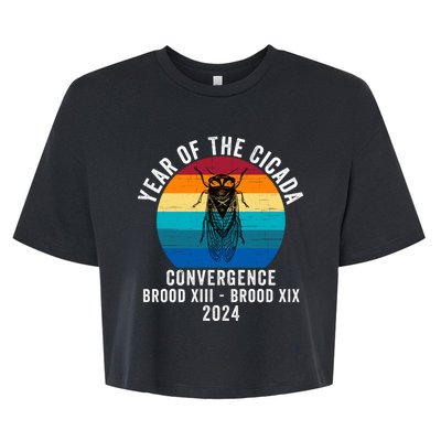 Year Of The Cicada Convergence Brood Xiii Brood Xix 2024 Bella+Canvas Jersey Crop Tee