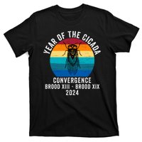 Year Of The Cicada Convergence Brood Xiii Brood Xix 2024 T-Shirt