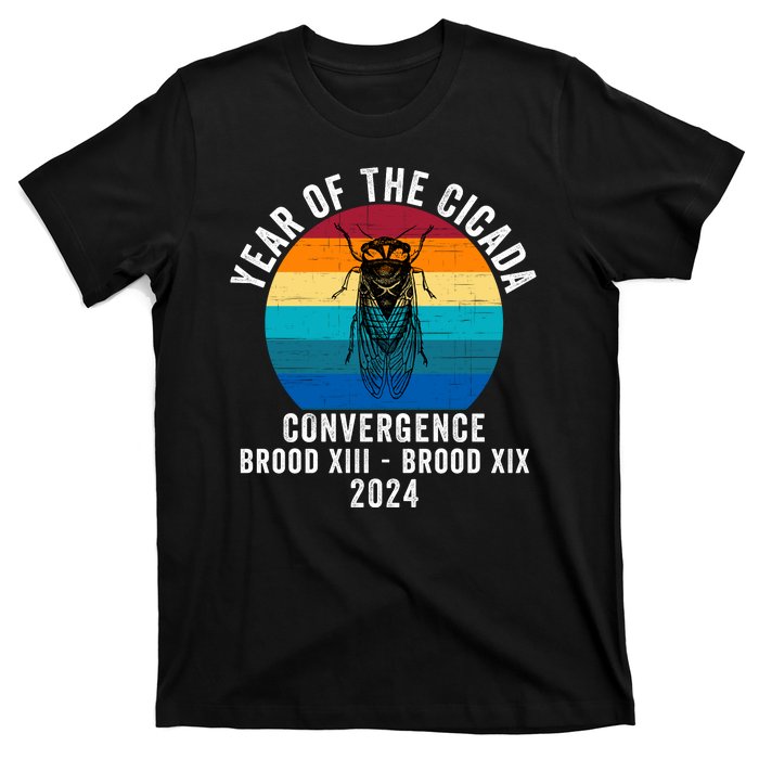 Year Of The Cicada Convergence Brood Xiii Brood Xix 2024 T-Shirt