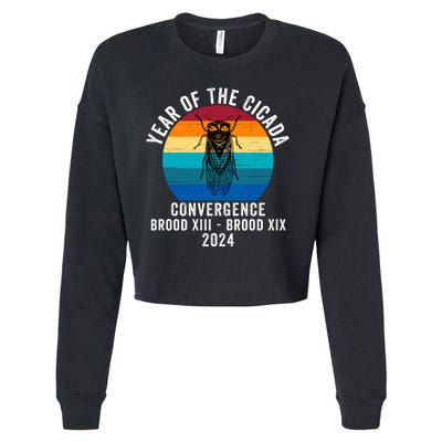 Year Of The Cicada Convergence Brood Xiii Brood Xix 2024 Cropped Pullover Crew