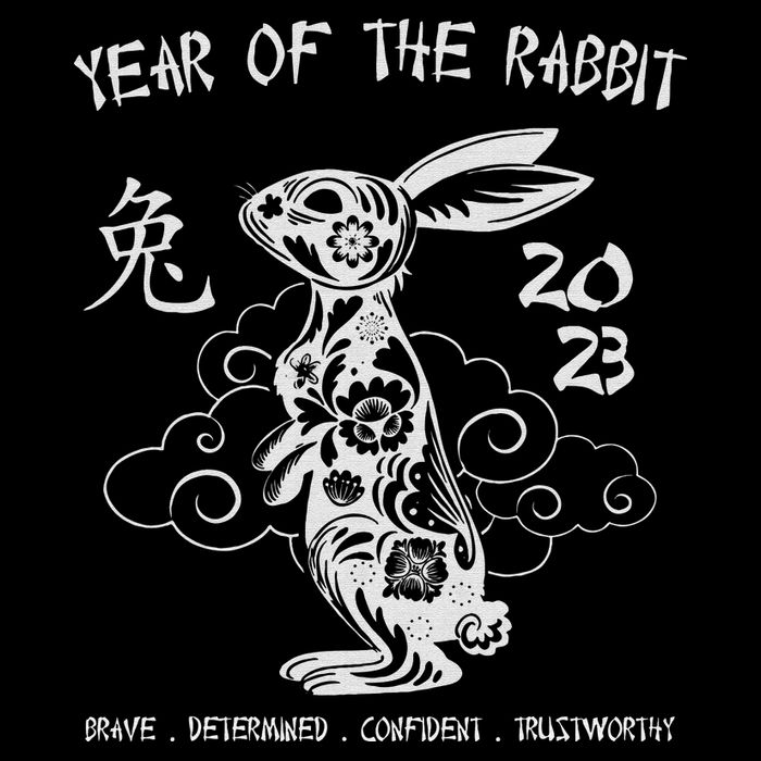 Year Of The Rabbit Chinese Zodiac Chinese New Year 16 in Basic Backpack
