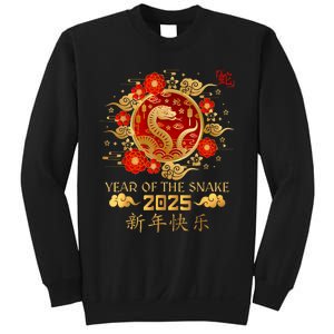 Year Of The Snake 2025 Lunar New Year Chinese New Year 2025 Sweatshirt