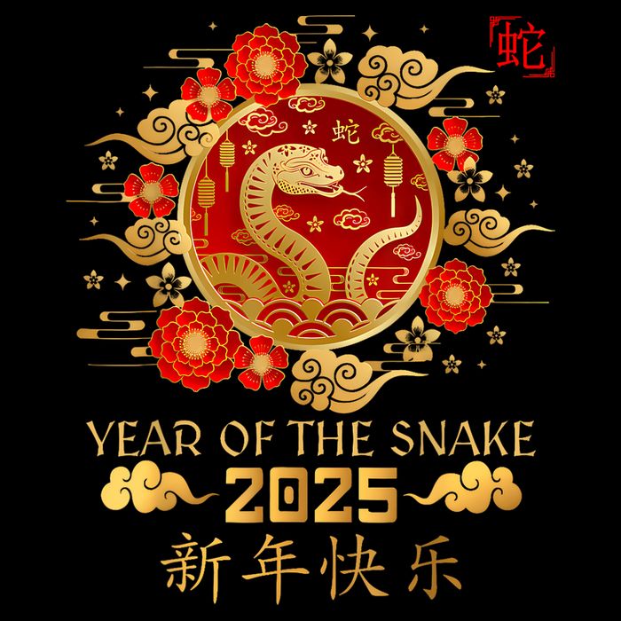 Year Of The Snake 2025 Lunar New Year Chinese New Year 2025 Impact Tech Backpack