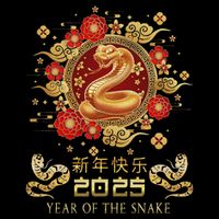 Year Of The Snake 2025 Lunar New Year Chinese New Year 2025 Drawstring Bag