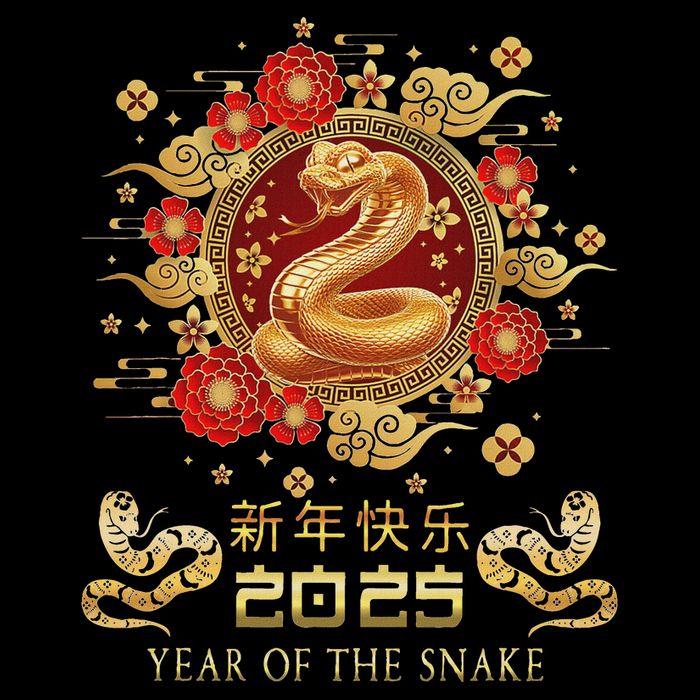 Year Of The Snake 2025 Lunar New Year Chinese New Year 2025 Drawstring Bag