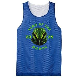 Year Of The Green Snake 2025 Chinese Zodiac Mesh Reversible Basketball Jersey Tank