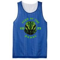 Year Of The Green Snake 2025 Chinese Zodiac Mesh Reversible Basketball Jersey Tank