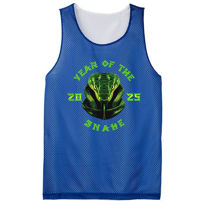 Year Of The Green Snake 2025 Chinese Zodiac Mesh Reversible Basketball Jersey Tank