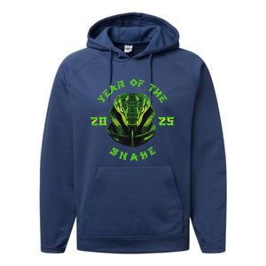 Year Of The Green Snake 2025 Chinese Zodiac Performance Fleece Hoodie