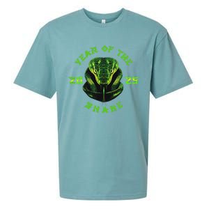 Year Of The Green Snake 2025 Chinese Zodiac Sueded Cloud Jersey T-Shirt