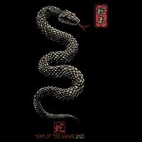 Year Of The Snake 2025 Chinese New Year Wool Snapback Cap