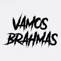 Yellow Out The Dome Brahmas San Antonio Football Tailgate Doggie Tank