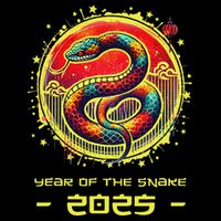Year Of The Snake 2025 Lunar New Year Chinese New Year 2025 Wool Snapback Cap