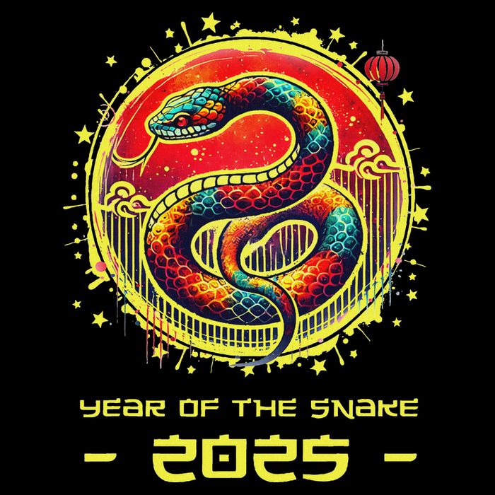 Year Of The Snake 2025 Lunar New Year Chinese New Year 2025 Wool Snapback Cap