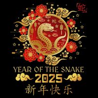 Year Of The Snake 2025 Lunar New Year Chinese New Year 2025 Wool Snapback Cap