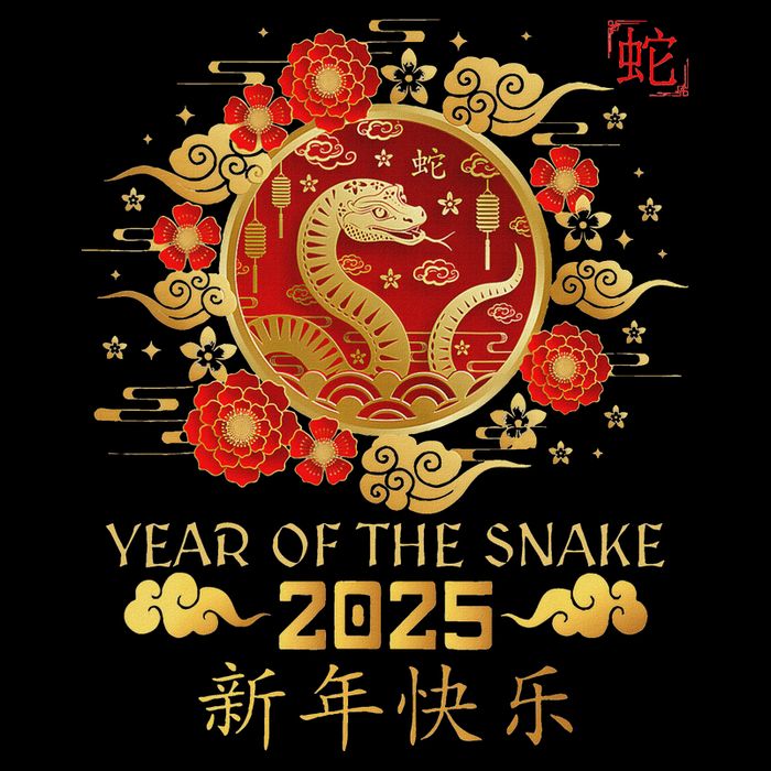 Year Of The Snake 2025 Lunar New Year Chinese New Year 2025 Wool Snapback Cap