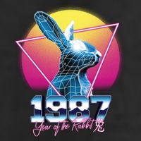 Year Of The Rabbit – Chinese Zodiac – Synthwave Style Beanie