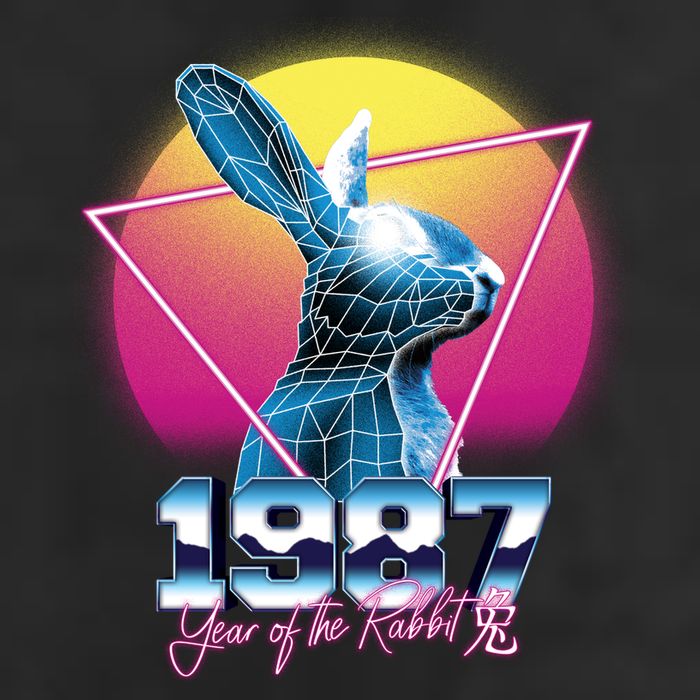 Year Of The Rabbit – Chinese Zodiac – Synthwave Style Beanie