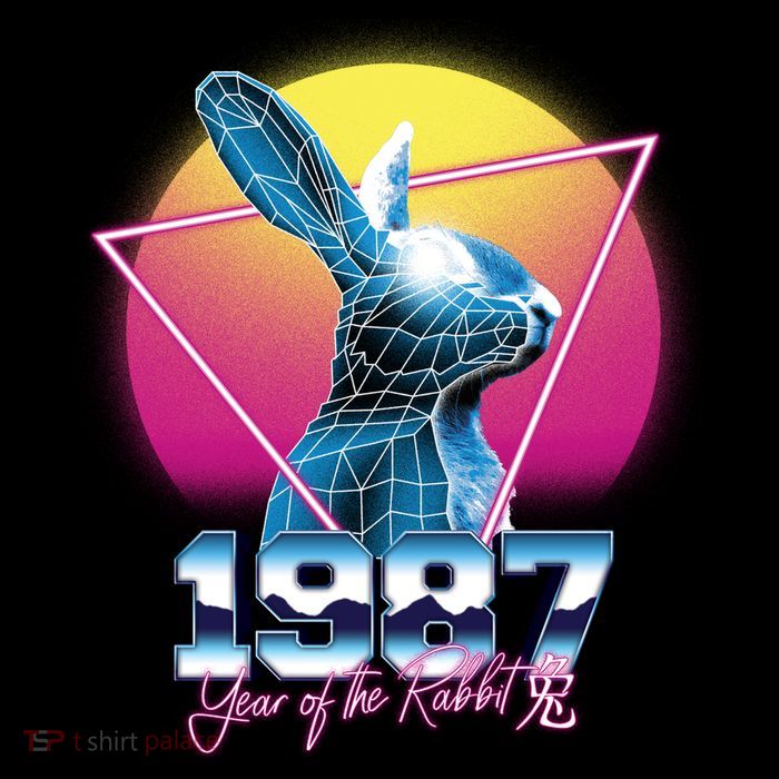 Year Of The Rabbit – Chinese Zodiac – Synthwave Style Youth Performance Sprint T-Shirt