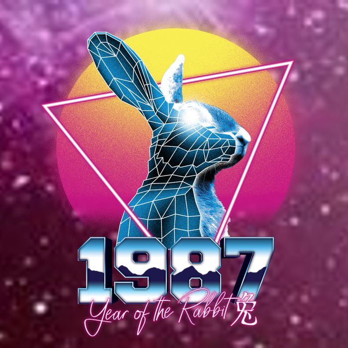 Year Of The Rabbit – Chinese Zodiac – Synthwave Style Magnet