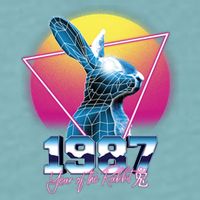 Year Of The Rabbit – Chinese Zodiac – Synthwave Style Sueded Cloud Jersey T-Shirt