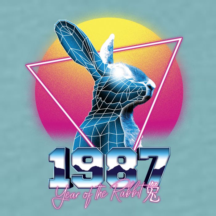 Year Of The Rabbit – Chinese Zodiac – Synthwave Style Sueded Cloud Jersey T-Shirt
