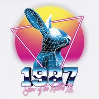 Year Of The Rabbit – Chinese Zodiac – Synthwave Style Garment-Dyed Sweatshirt
