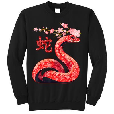 Year Of The Snake 2025 Chinese Traditional New Year 2025 Gift Sweatshirt