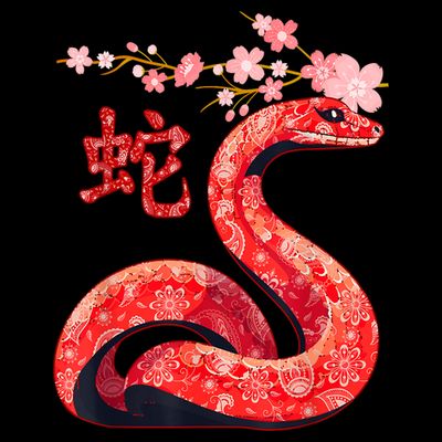 Year Of The Snake 2025 Chinese Traditional New Year 2025 Gift T-Shirt