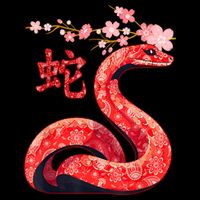 Year Of The Snake 2025 Chinese Traditional New Year 2025 Gift 16 in Basic Backpack