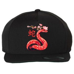 Year Of The Snake 2025 Chinese Traditional New Year 2025 Gift Wool Snapback Cap