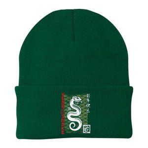 Year Of The Snake Chinese Zodiac Lunar New Year 2025 Knit Cap Winter Beanie