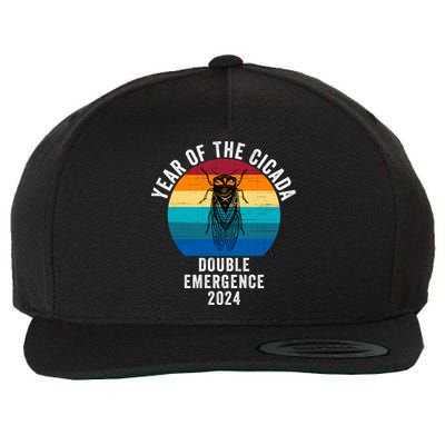 Year Of The Cicada Double Emergence 2024 Cicada Lover Return Of The Cicadas Wool Snapback Cap