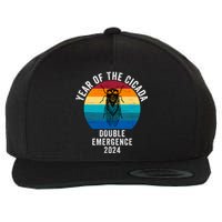 Year Of The Cicada Double Emergence 2024 Cicada Lover Return Of The Cicadas Wool Snapback Cap