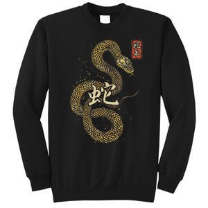 Year Of The Snake 2025 Chinese New Year Sweatshirt