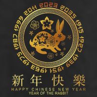Year Of The Rabbit Chinese Zodiac Chinese New Year Cool Comfort Performance Bucket Hat