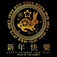 Year Of The Rabbit Chinese Zodiac Chinese New Year Mesh Reversible Basketball Jersey Tank
