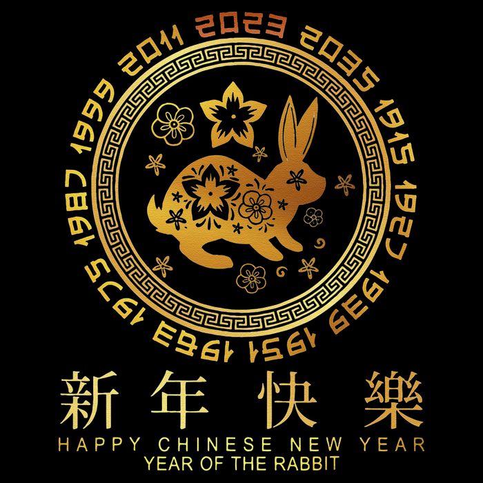 Year Of The Rabbit Chinese Zodiac Chinese New Year Mesh Reversible Basketball Jersey Tank