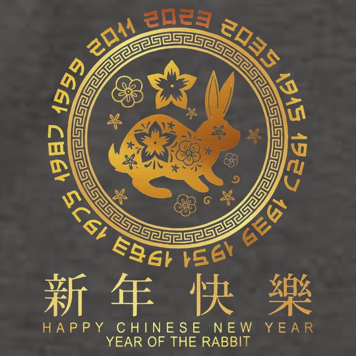 Year Of The Rabbit Chinese Zodiac Chinese New Year Vector Backpack