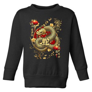 Year Of The Snake 2025 Chinese New Year Toddler Sweatshirt