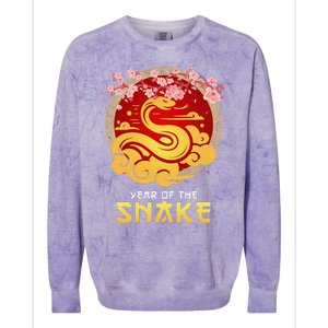 Year Of The Snake Chinese Zodiac Lunar New Year Colorblast Crewneck Sweatshirt