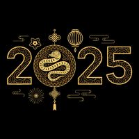 Year Of The Snake 2025 Lunar New Year Chinese New Year 2025 Wool Snapback Cap