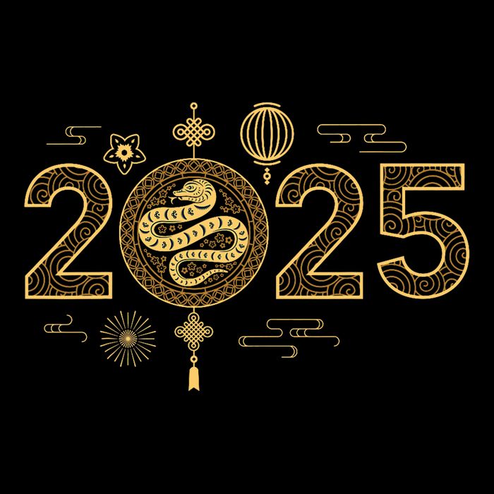 Year Of The Snake 2025 Lunar New Year Chinese New Year 2025 Wool Snapback Cap