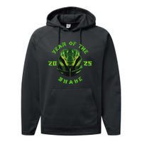 Year Of The Green Snake 2025 Chinese Zodiac Lunar New Year Performance Fleece Hoodie