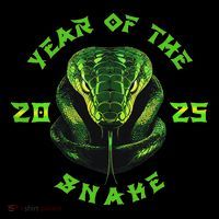Year Of The Green Snake 2025 Chinese Zodiac Lunar New Year Tall T-Shirt