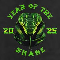 Year Of The Green Snake 2025 Chinese Zodiac Lunar New Year 11oz C Handle Ceramic Mug