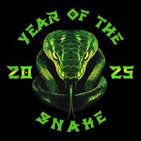 Year Of The Green Snake 2025 Chinese Zodiac Lunar New Year 16 in Basic Backpack