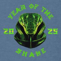 Year Of The Green Snake 2025 Chinese Zodiac Lunar New Year Garment-Dyed Sweatshirt