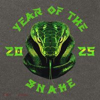 Year Of The Green Snake 2025 Chinese Zodiac Lunar New Year Cotton Canvas Backpack