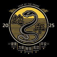 Year Of The Snake 2025 Chinese New Year Wool Snapback Cap